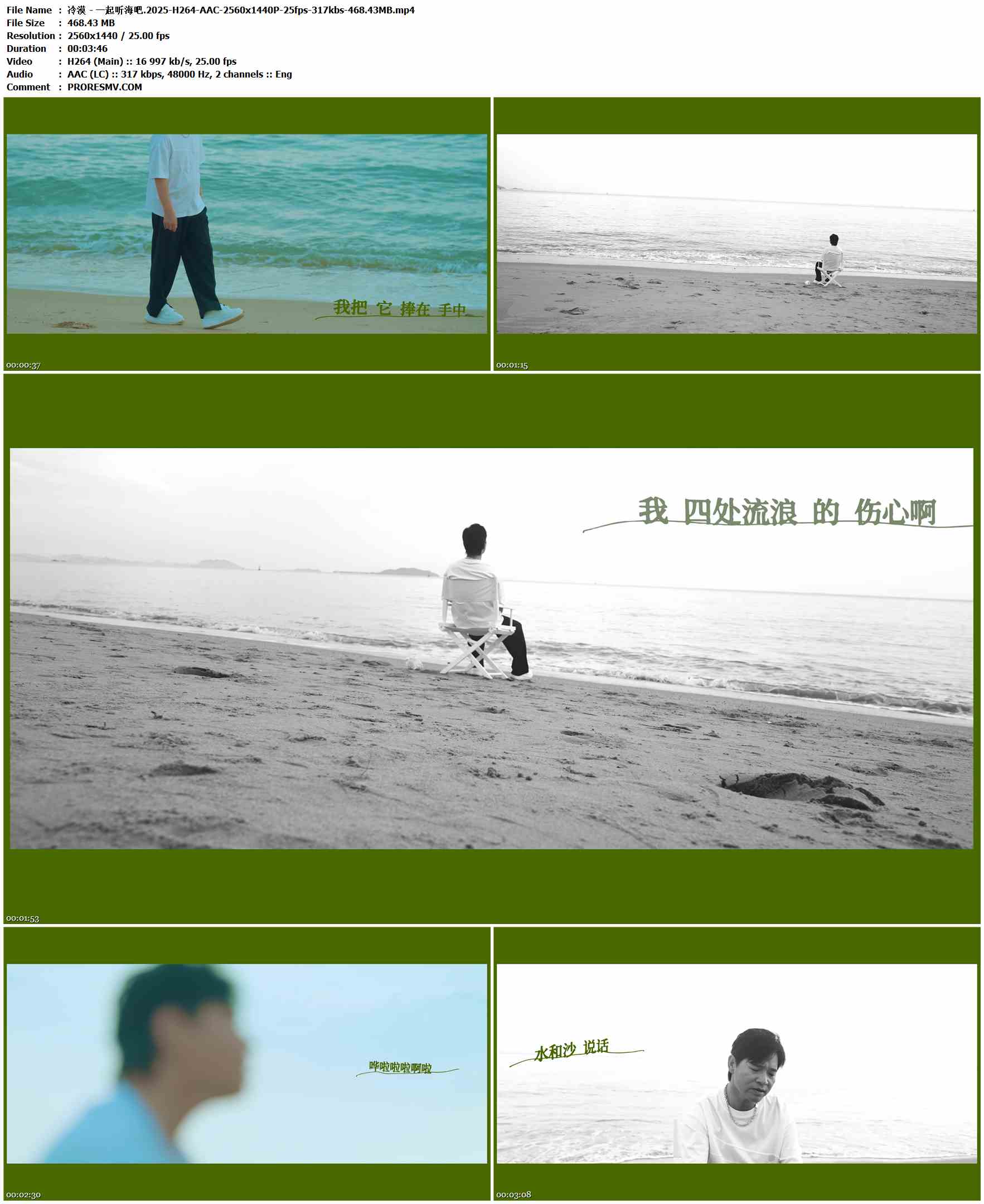 冷漠 - 一起听海吧.2025-H264-AAC-2560x1440P-25fps-317kbs-468.43MB官方MV_高清MV
